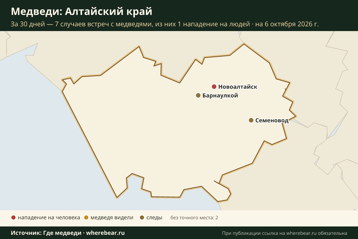 Карта: где в Алтайском крае видели медведей за 30 дней