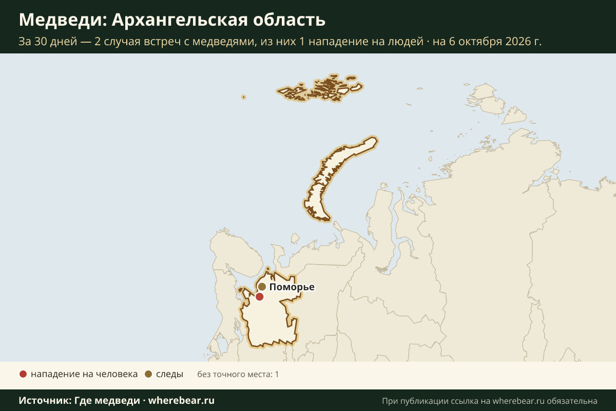Карта: где в Архангельской области видели медведей за 30 дней