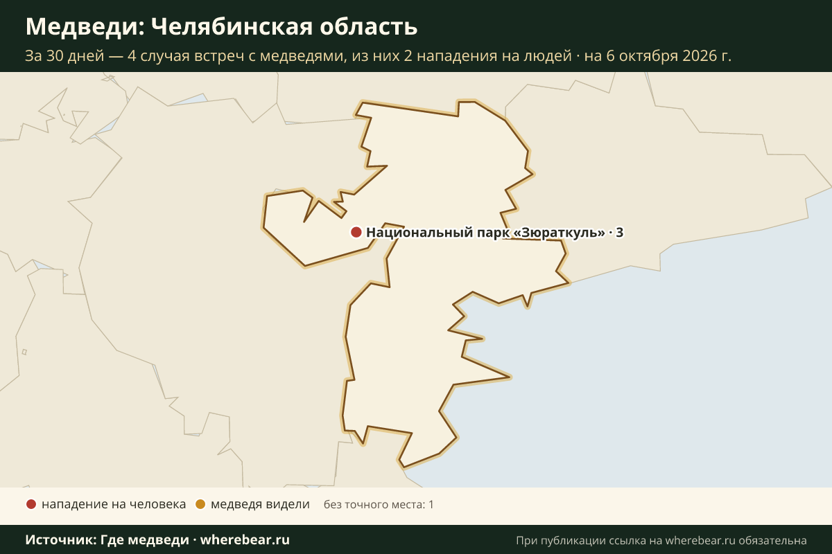 Карта: где в Челябинской области видели медведей за 30 дней