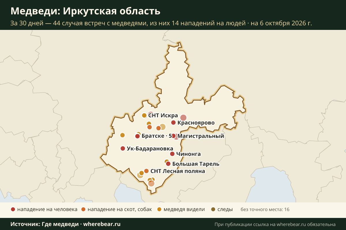 Карта: где в Иркутской области видели медведей за 30 дней