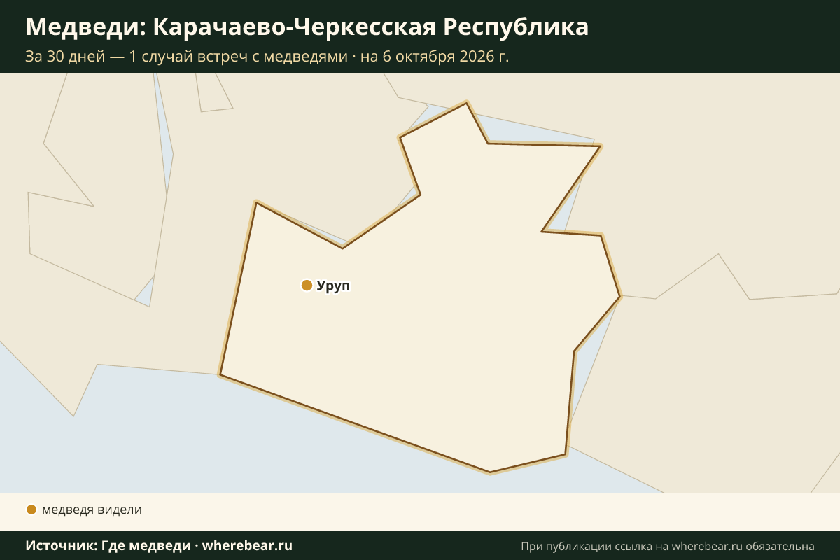 Карта: где в Карачаево-Черкесии видели медведей за 30 дней