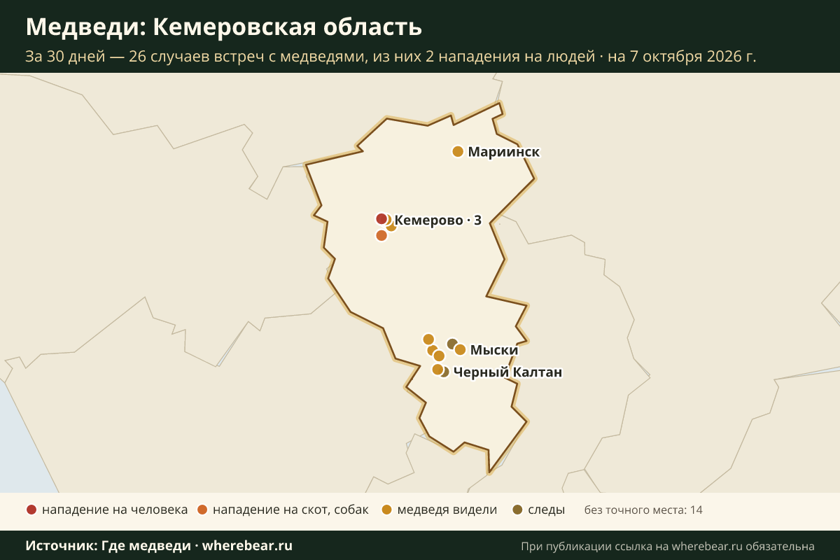 Карта: где в Кемеровской области видели медведей за 30 дней