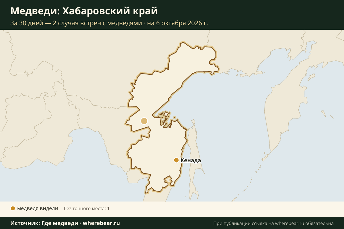 Карта: где в Хабаровском крае видели медведей за 30 дней