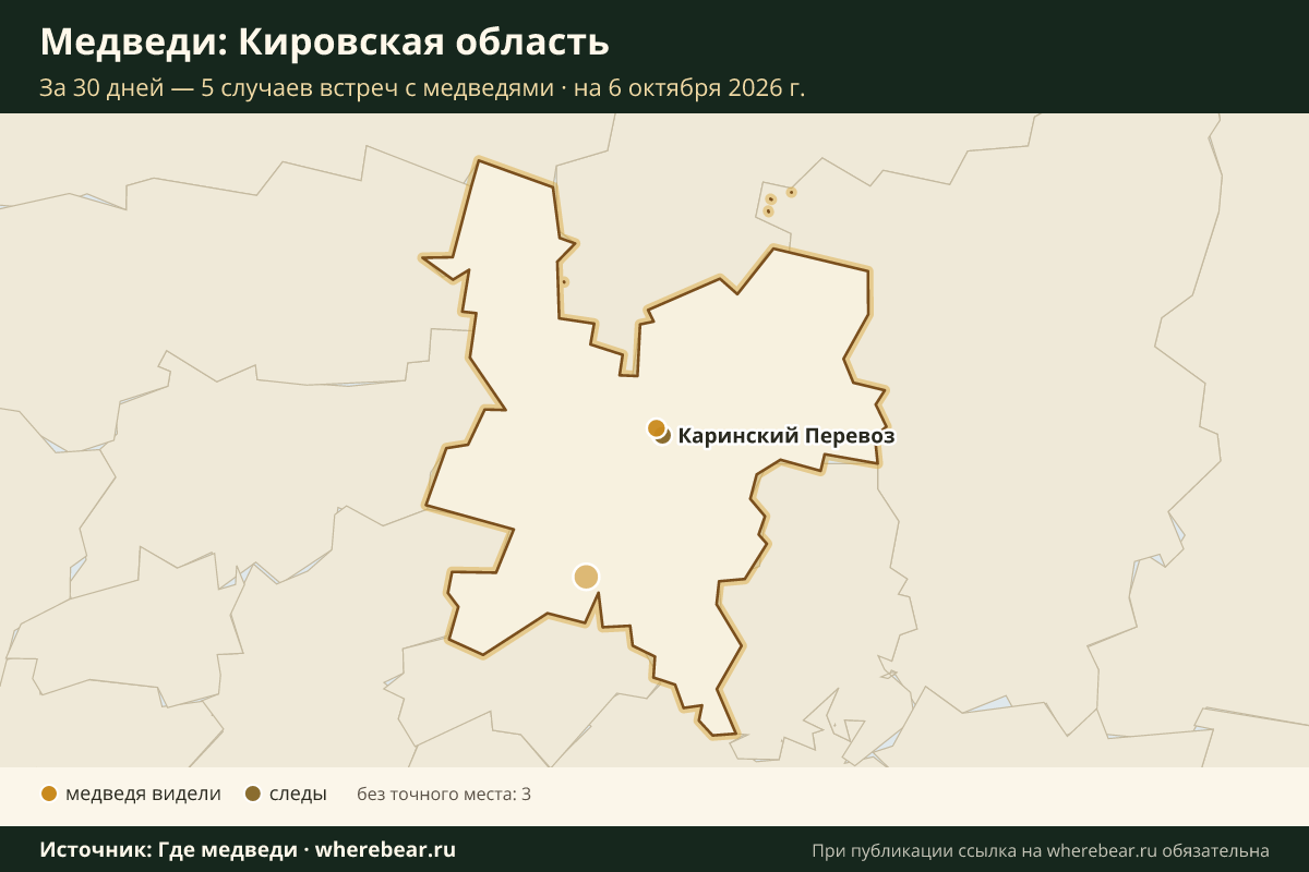 Карта: где в Кировской области видели медведей за 30 дней