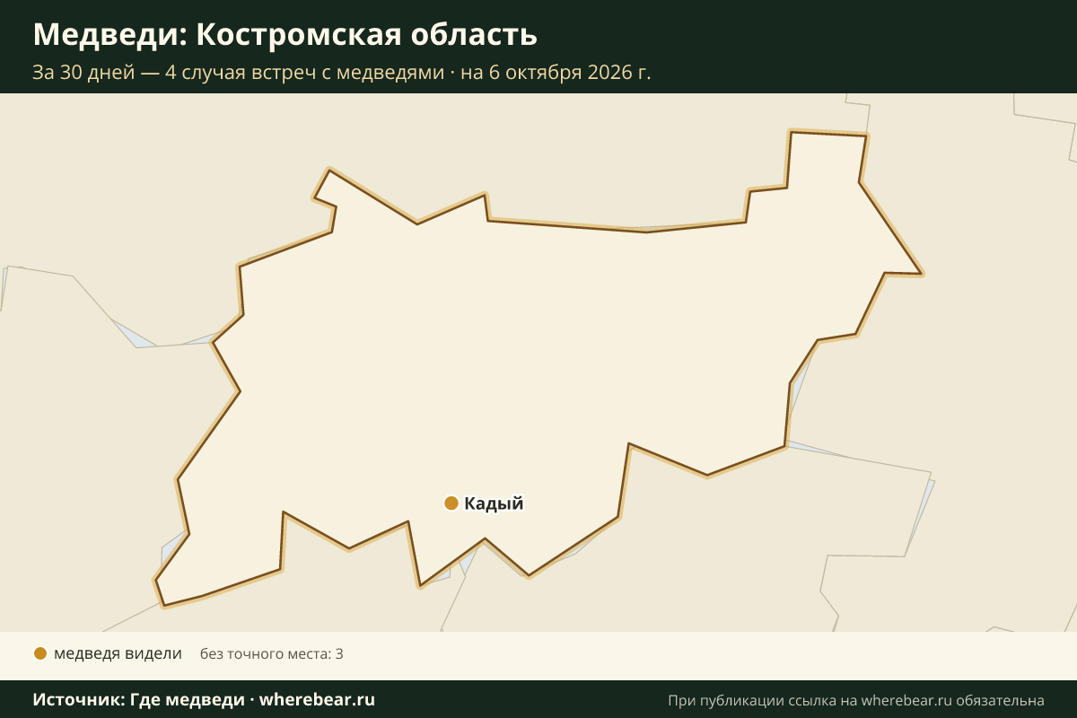 Карта: где в Костромской области видели медведей за 30 дней