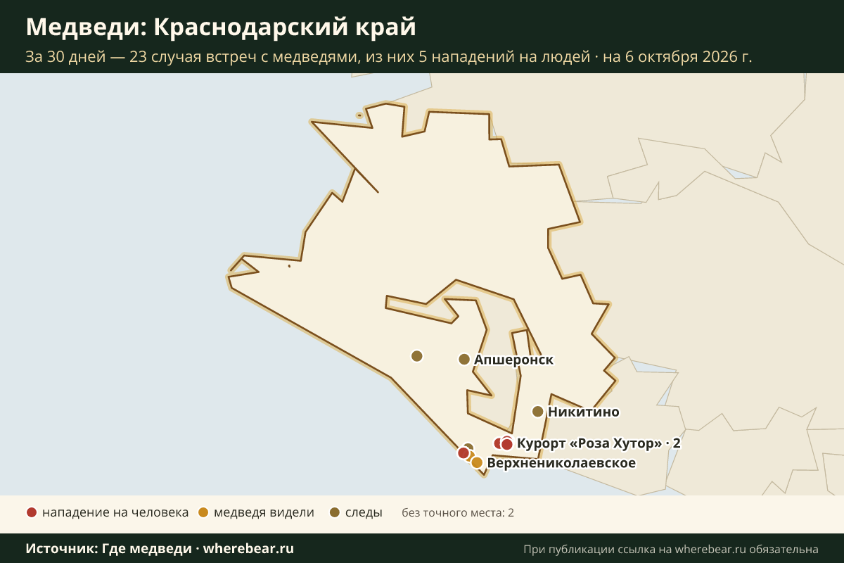 Карта: где в Краснодарском крае видели медведей за 30 дней