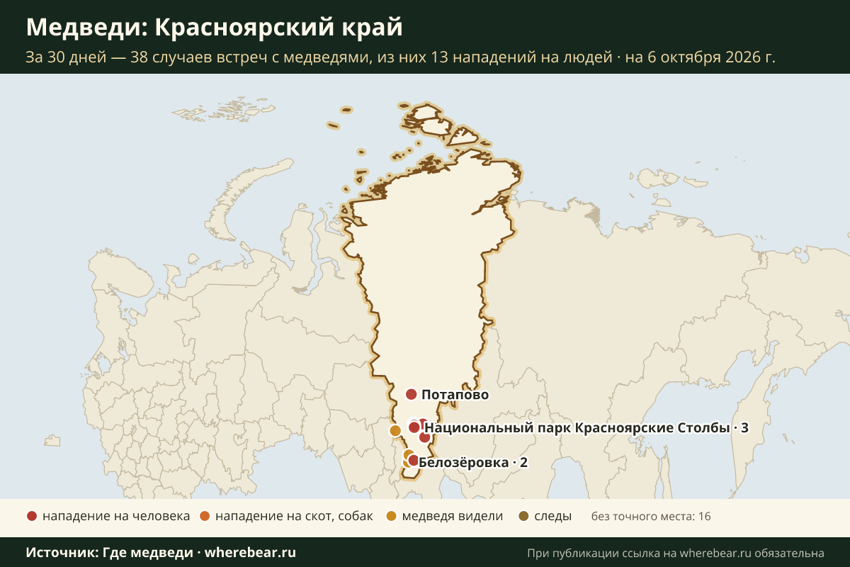 Карта: где в Красноярском крае видели медведей за 30 дней