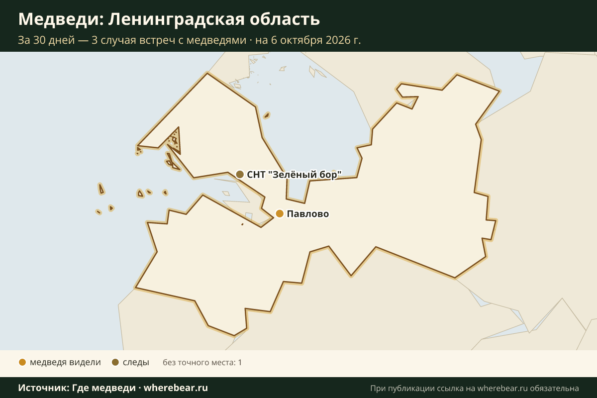 Карта: где в Ленинградской области видели медведей за 30 дней