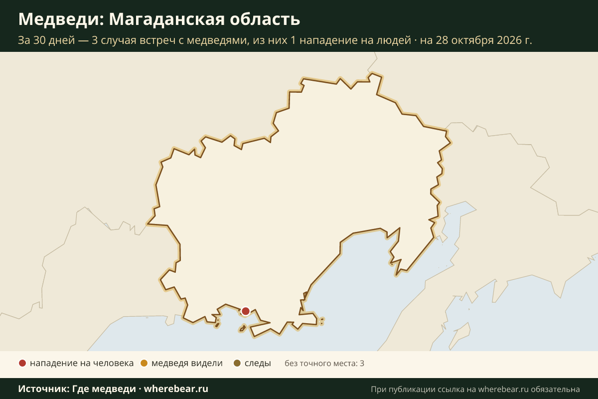 Карта: где в Магаданской области видели медведей за 30 дней