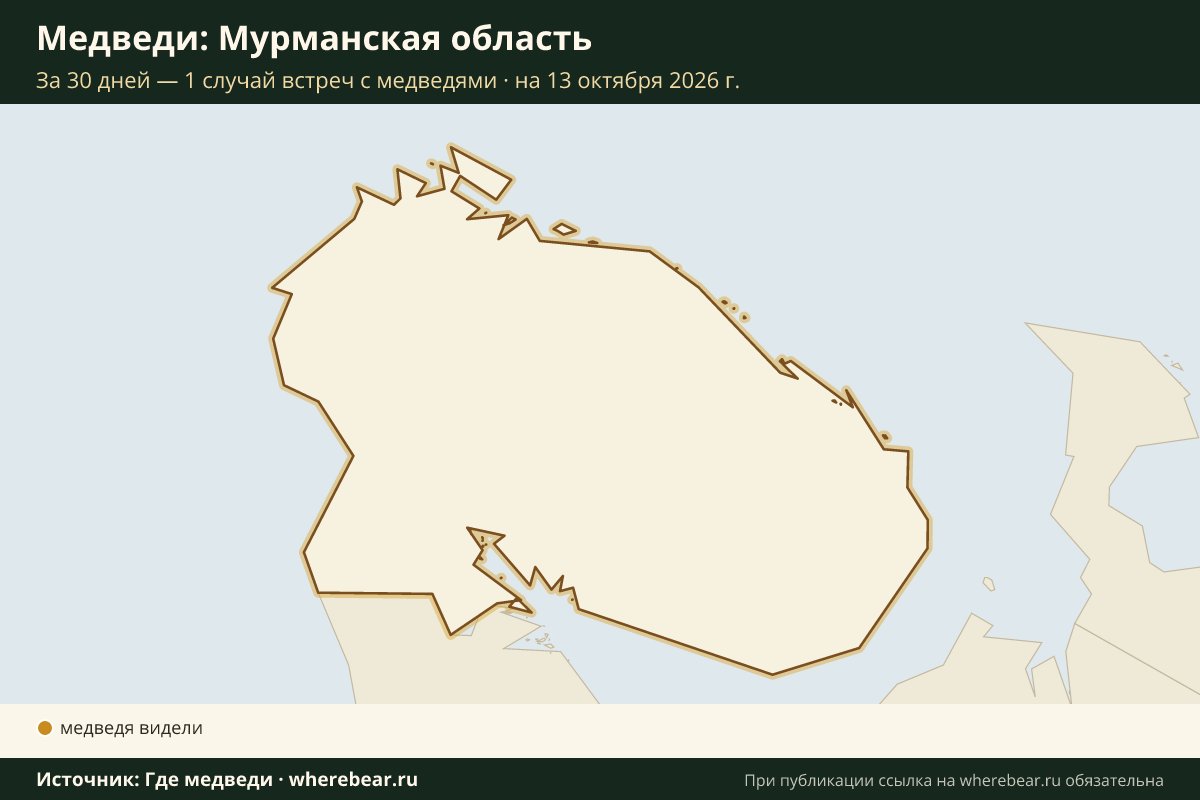 Карта: где в Мурманской области видели медведей за 30 дней