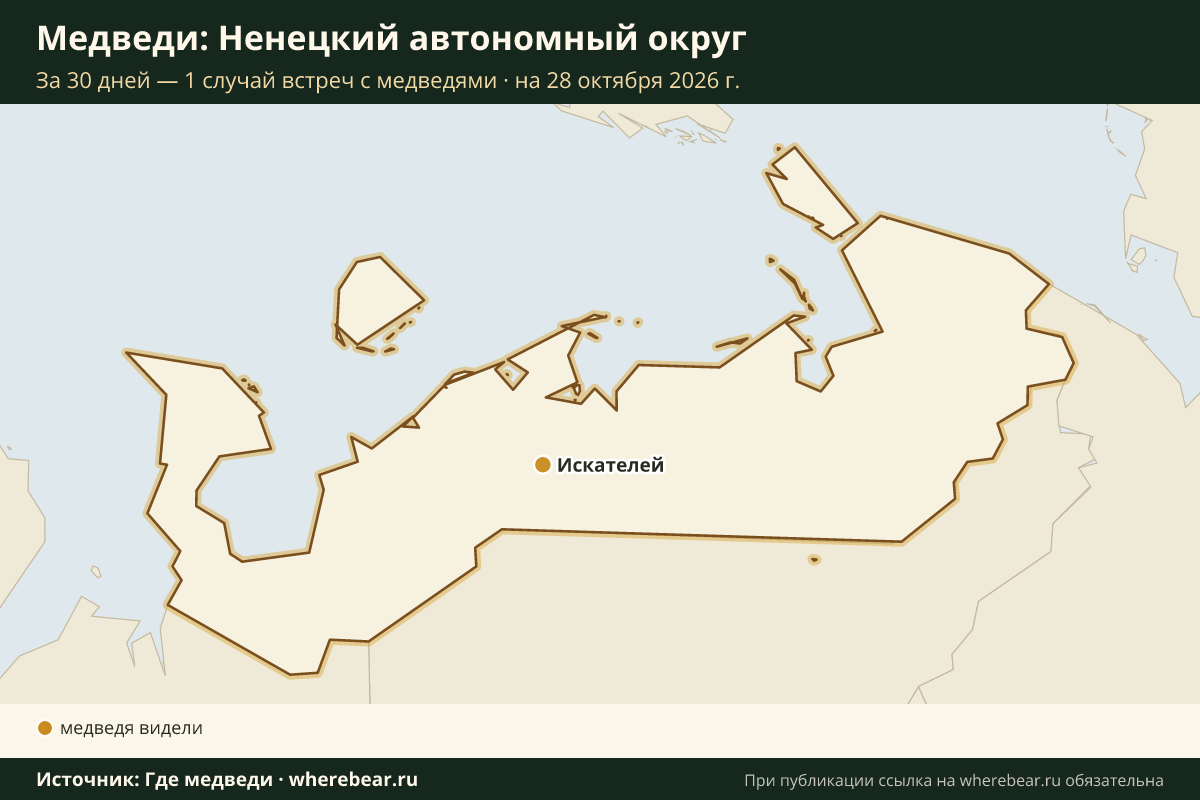 Карта: где в Ненецком автономном округе видели медведей за 30 дней