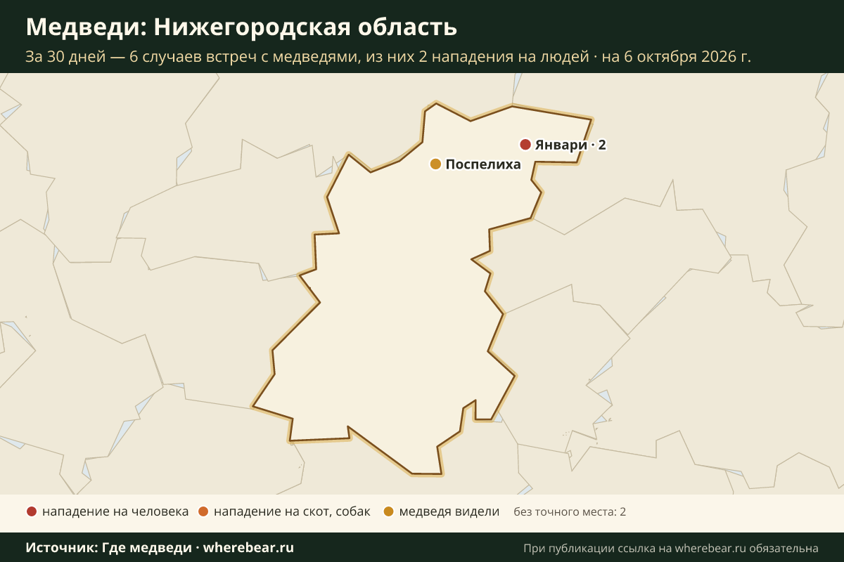 Карта: где в Нижегородской области видели медведей за 30 дней