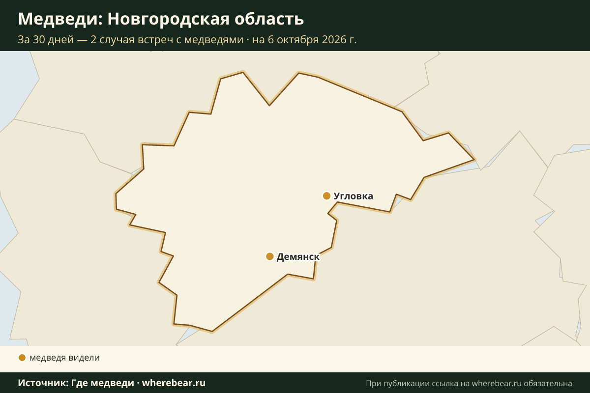 Карта: где в Новгородской области видели медведей за 30 дней