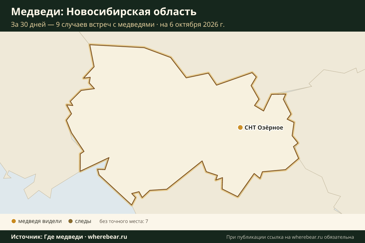 Карта: где в Новосибирской области видели медведей за 30 дней