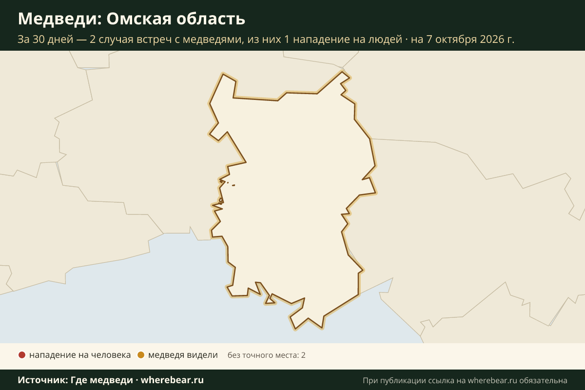 Карта: где в Омской области видели медведей за 30 дней