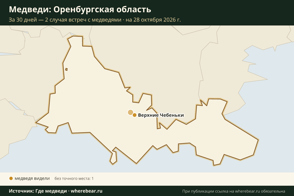 Карта: где в Оренбургской области видели медведей за 30 дней