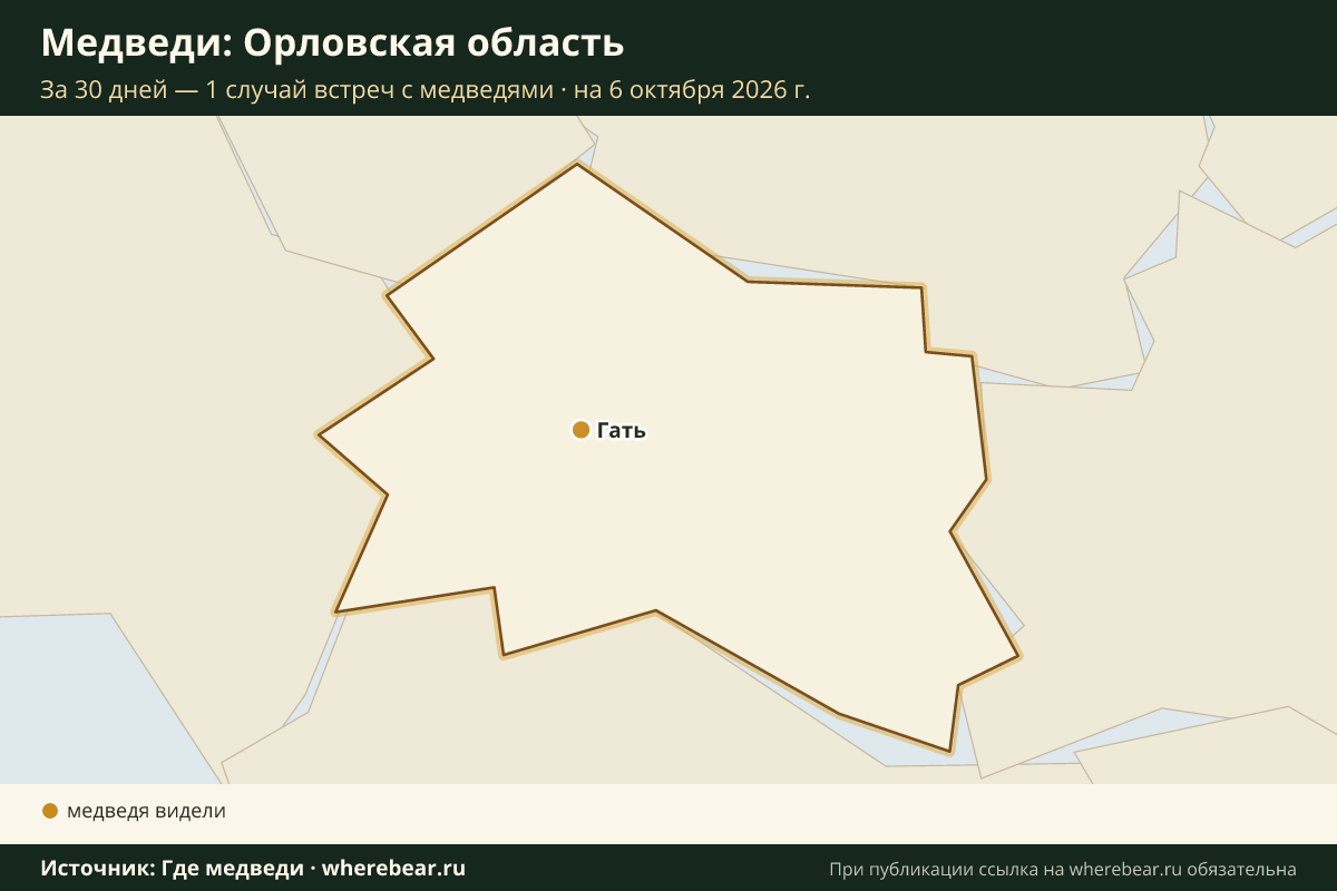 Карта: где в Орловской области видели медведей за 30 дней