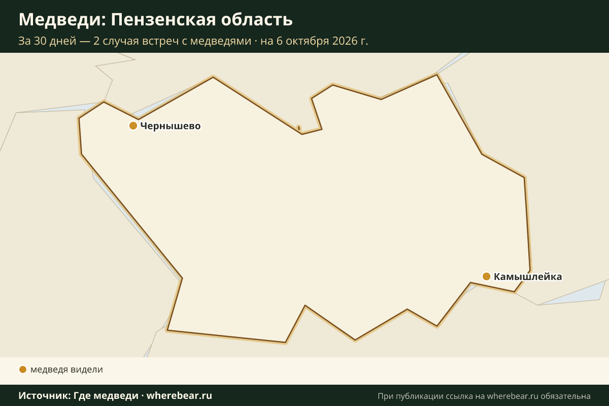 Карта: где в Пензенской области видели медведей за 30 дней