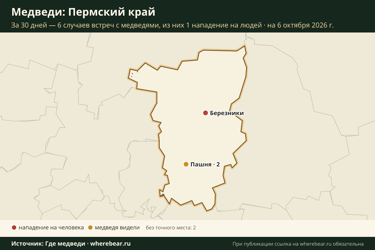 Карта: где в Пермском крае видели медведей за 30 дней