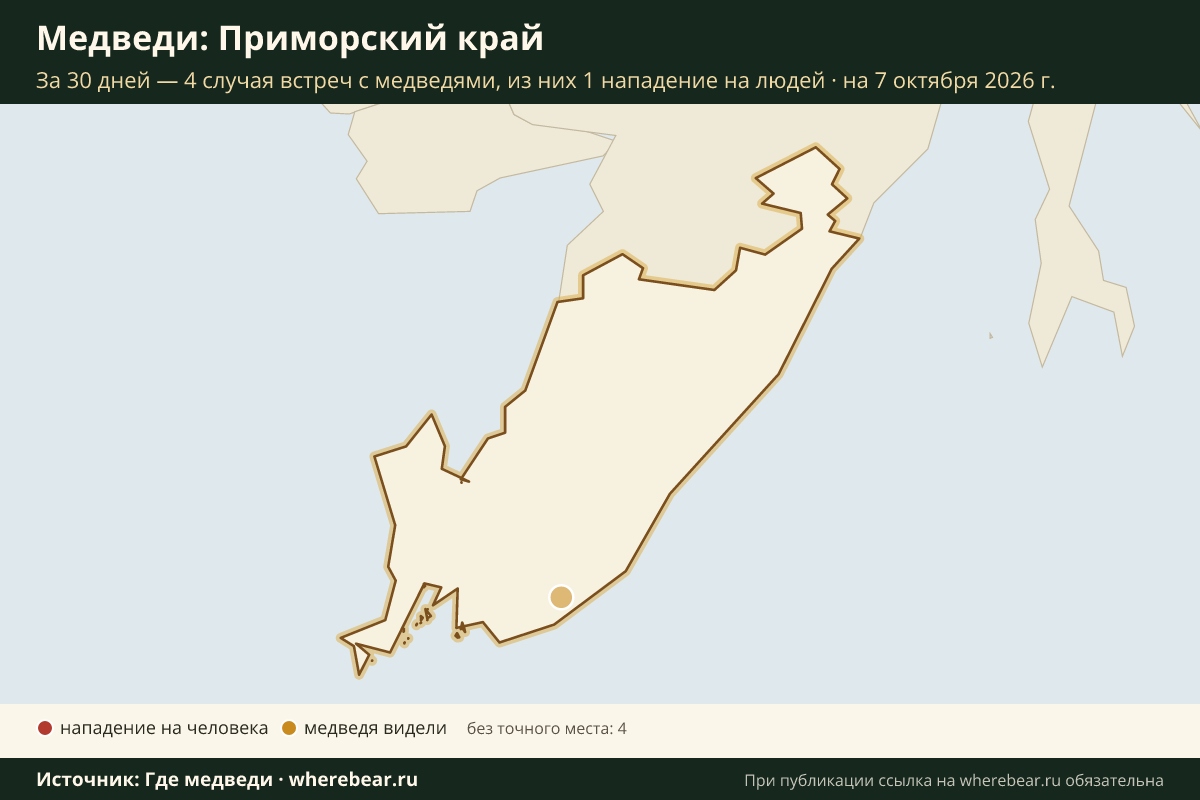 Карта: где в Приморском крае видели медведей за 30 дней