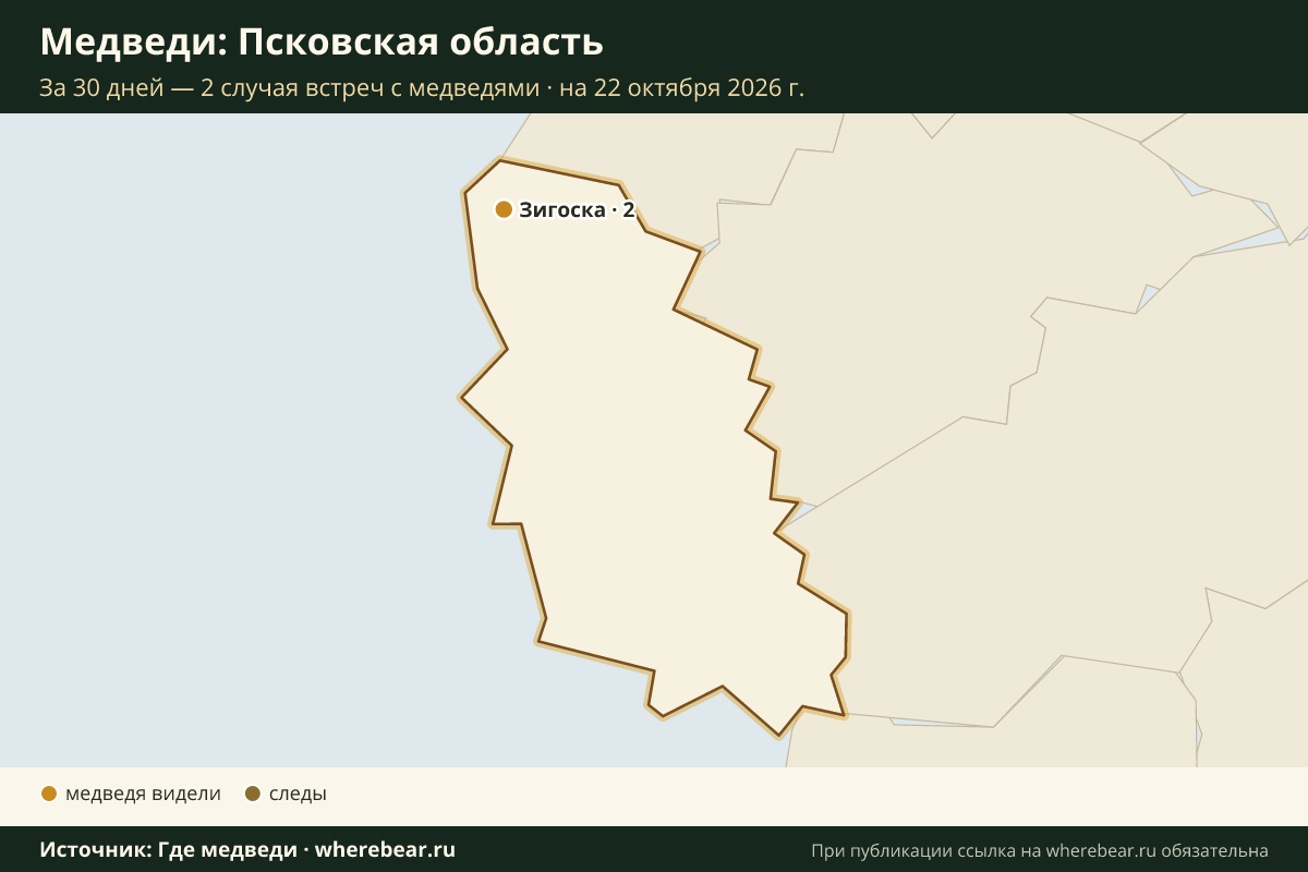 Карта: где в Псковской области видели медведей за 30 дней