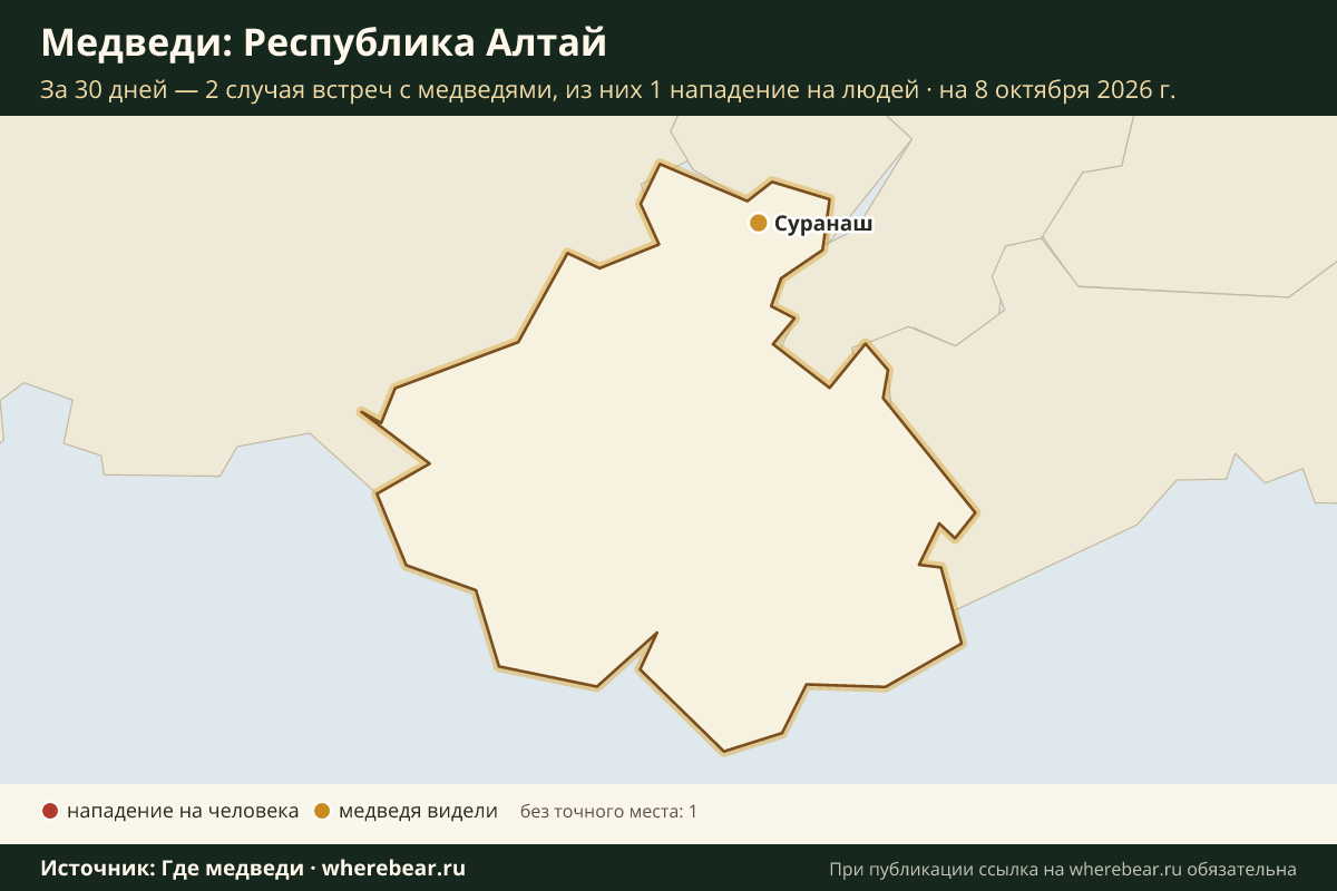 Карта: где в Республике Алтай видели медведей за 30 дней