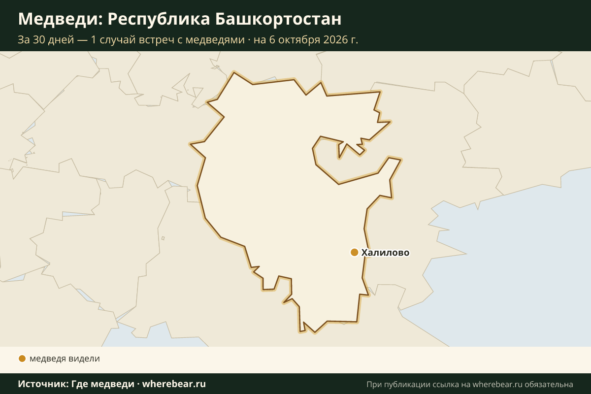 Карта: где в Республике Башкортостан видели медведей за 30 дней