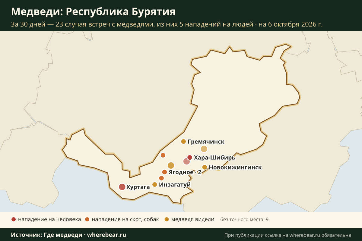 Карта: где в Бурятии видели медведей за 30 дней