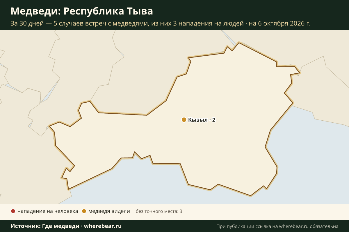 Карта: где в Республике Тыва видели медведей за 30 дней