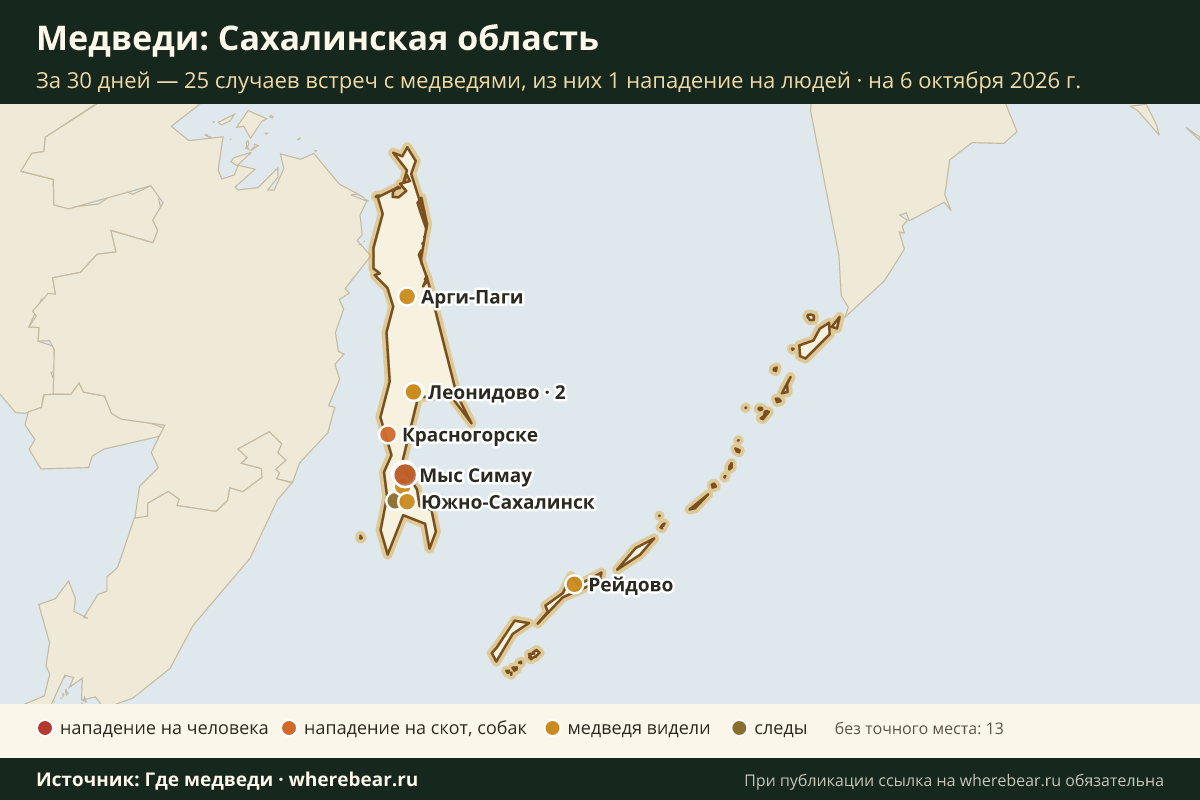 Карта: где в Сахалинской области видели медведей за 30 дней