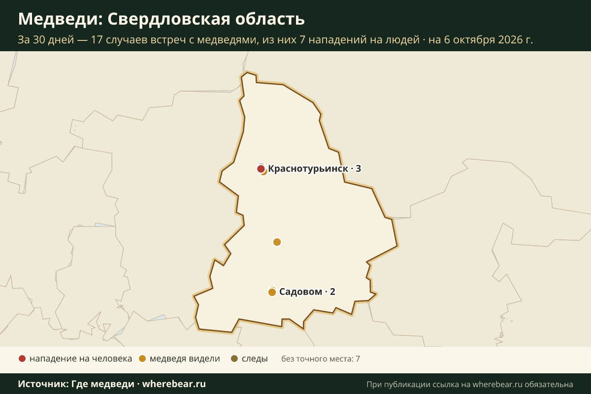 Карта: где в Свердловской области видели медведей за 30 дней