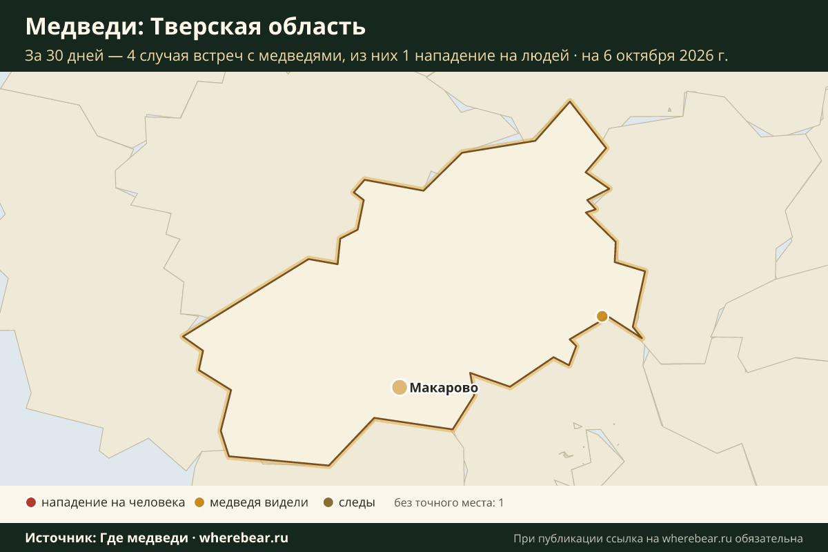 Карта: где в Тверской области видели медведей за 30 дней