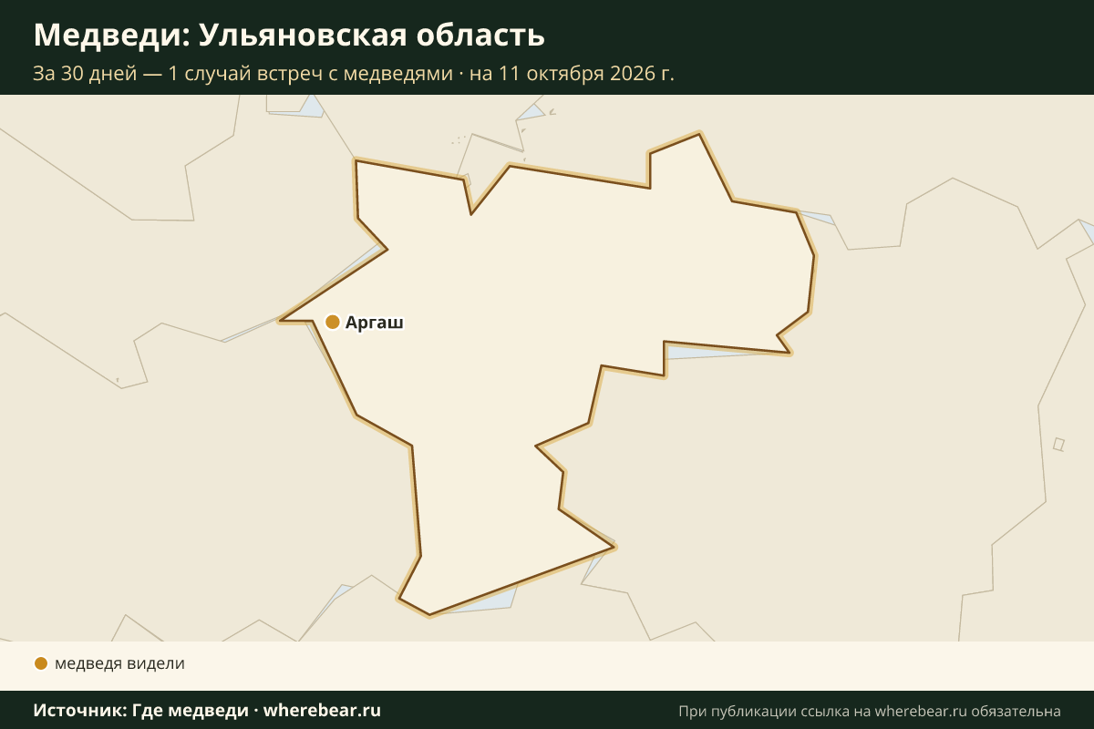 Карта: где в Ульяновской области видели медведей за 30 дней