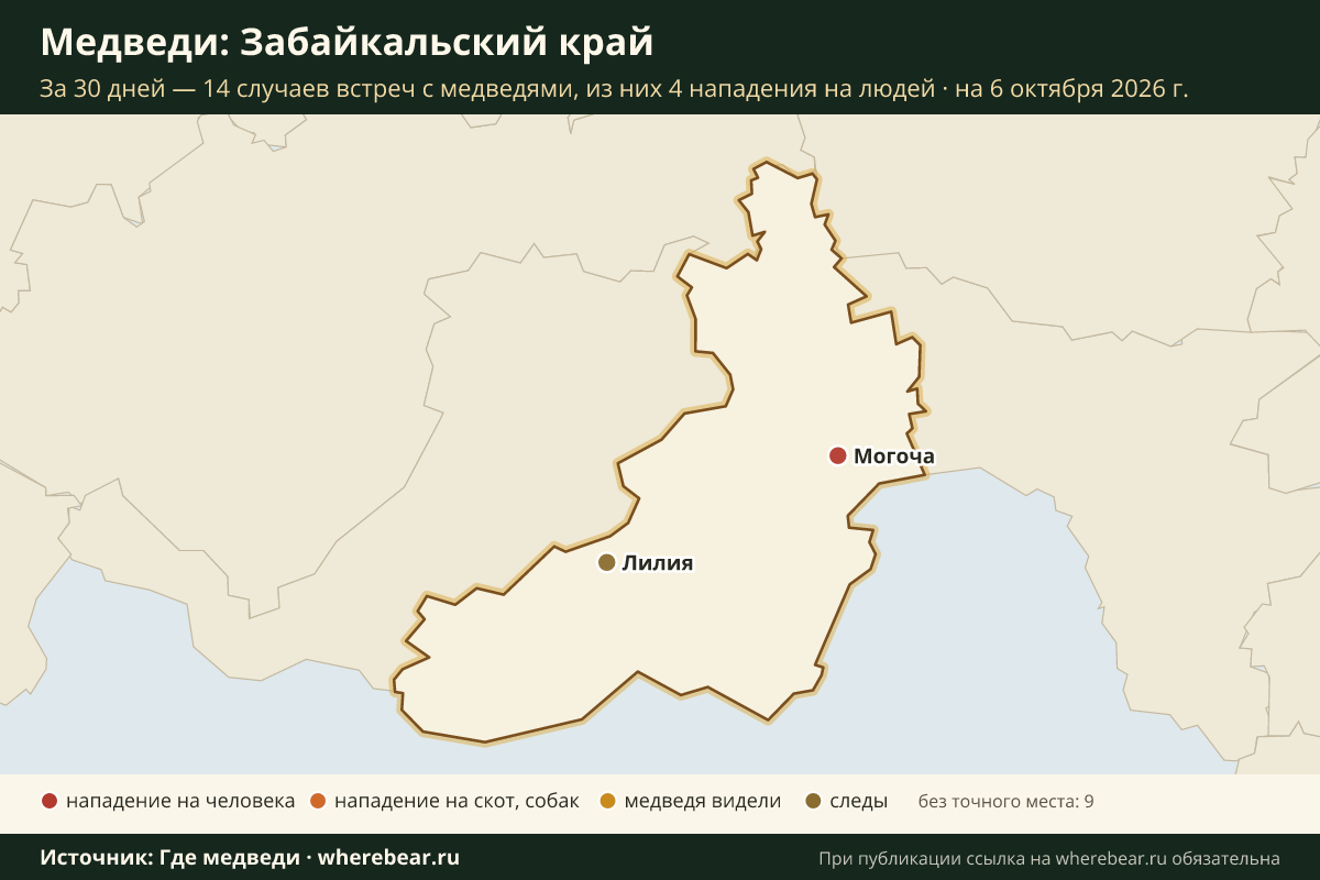 Карта: где в Забайкальском крае видели медведей за 30 дней
