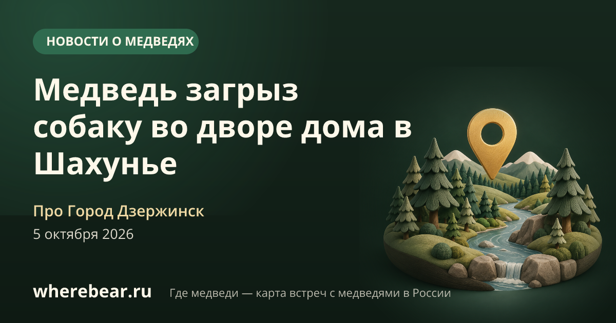 Место на карте: двор частного дома, Нижегородская область