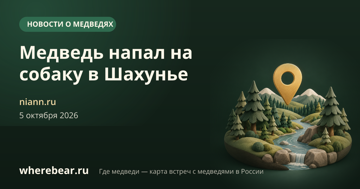 Место на карте: деревне Январи, Нижегородская область