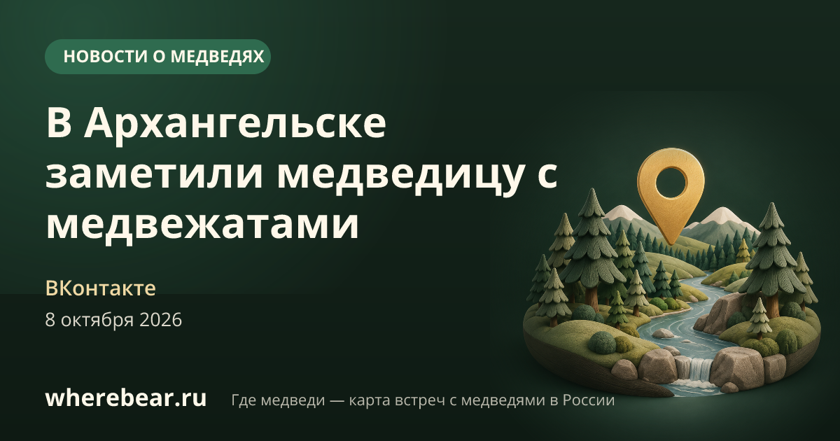 Место на карте: район 21 лесозавода, Архангельская область