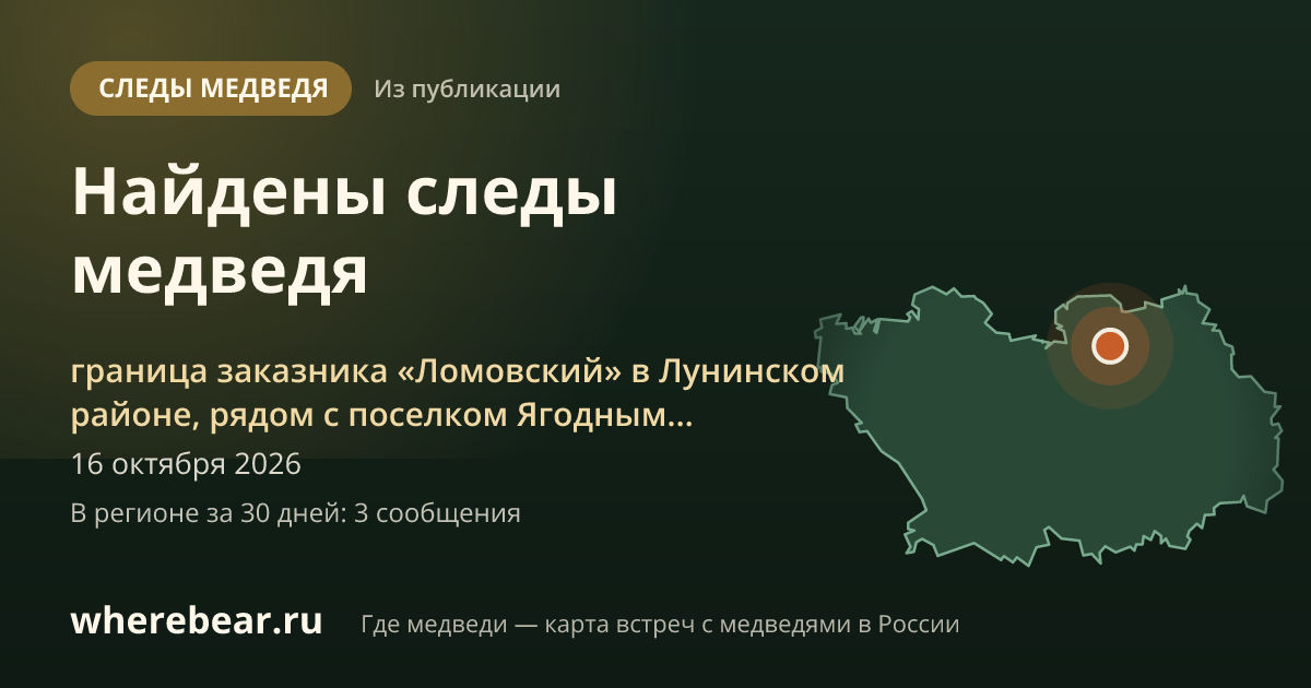 Место на карте: граница заказника «Ломовский» в Лунинском районе, рядом с поселком Ягодным, Пензенская область