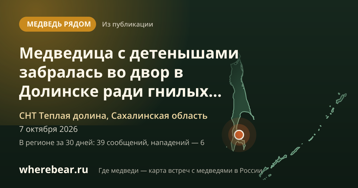 Место на карте: Долинск, улица Журналистов, "Теплая долина", Сахалинская область