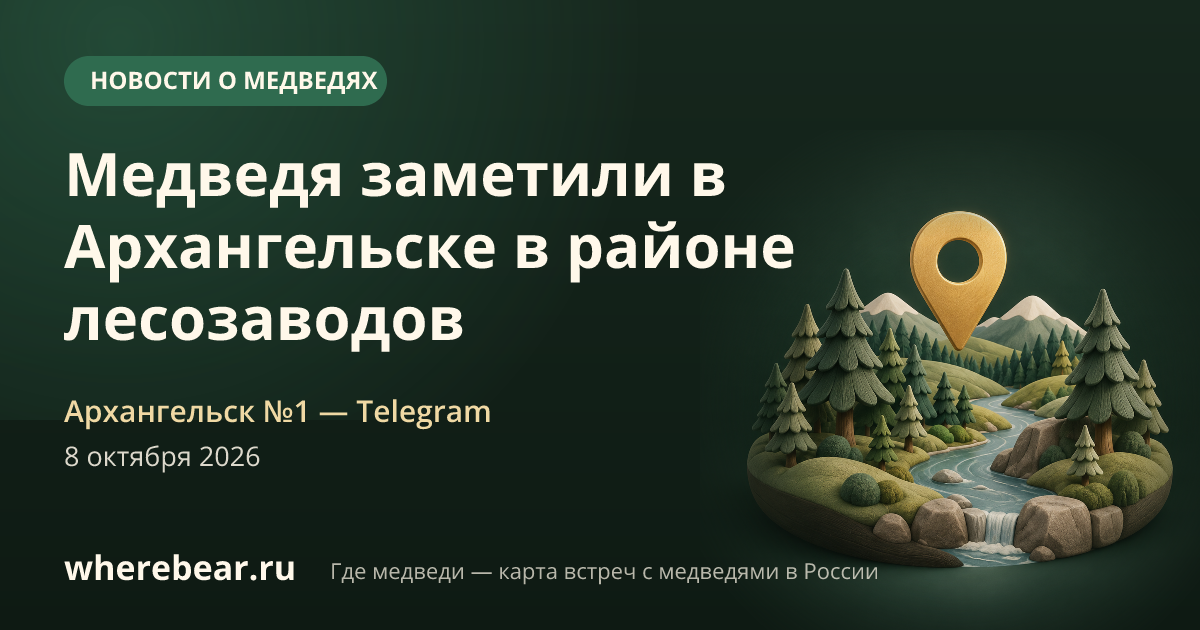 Место на карте: район лесозаводов №14 и №21, Архангельская область