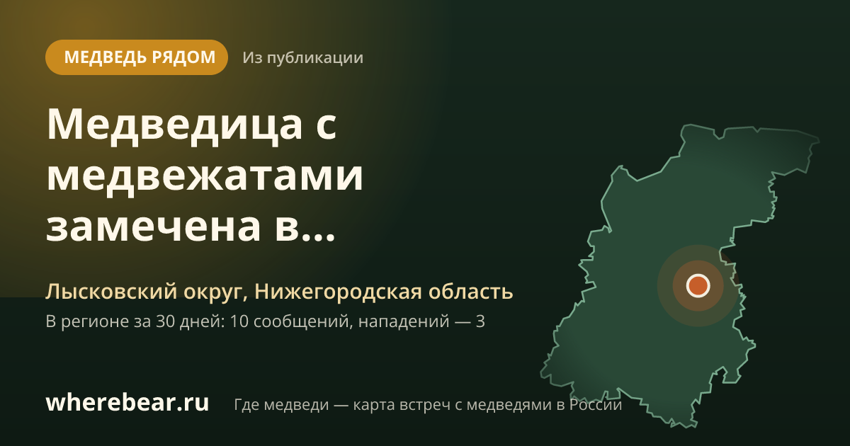 Место на карте: Лысковский округ, Нижегородская область
