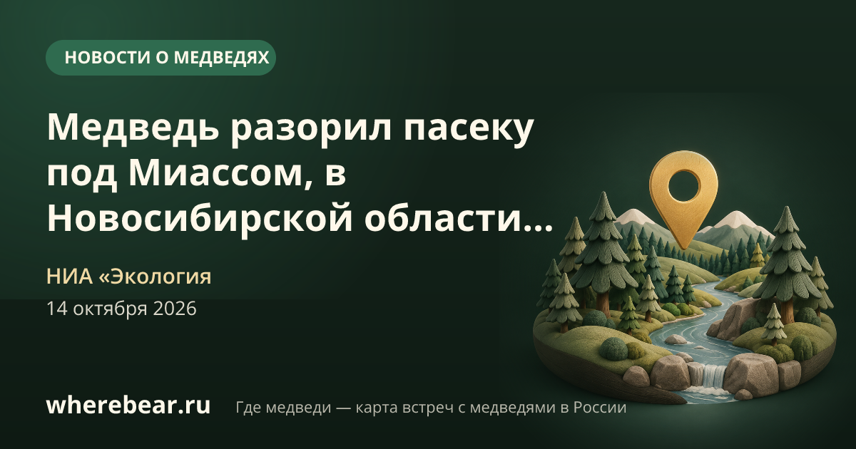 Место на карте: пасека к востоку от сада «Северный-2», Миасс, Челябинская область