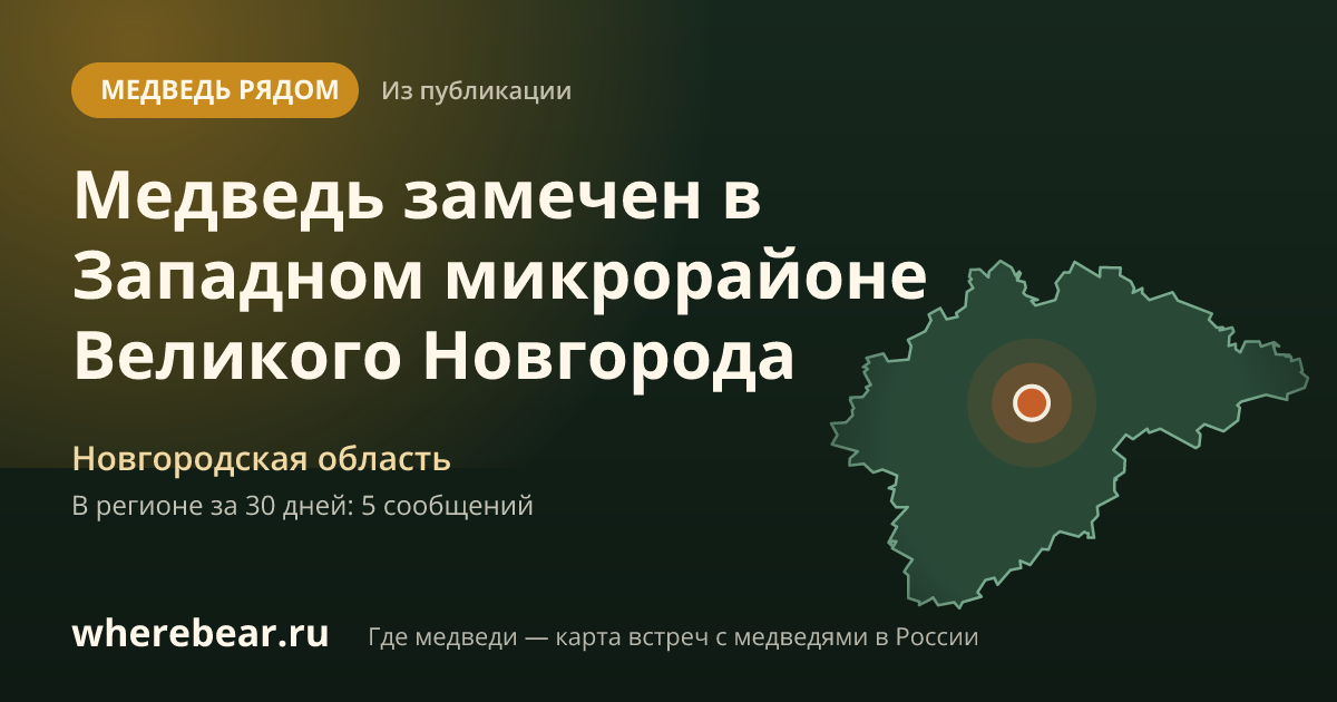 Место на карте: Новгородская область
