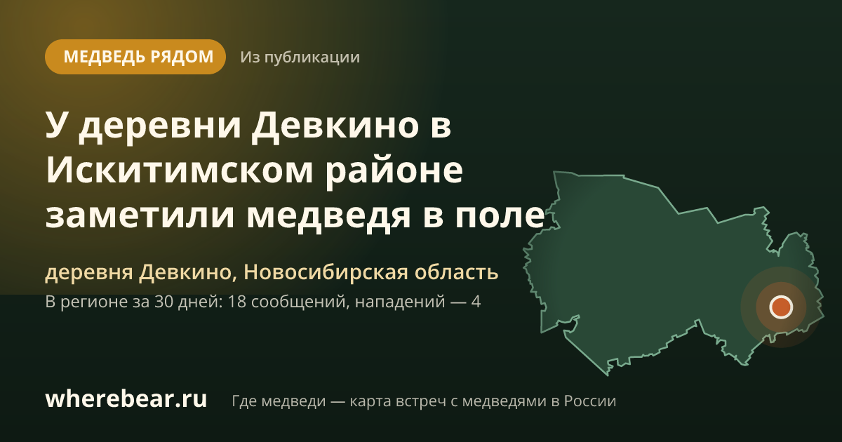 Место на карте: деревня Девкино, Новосибирская область