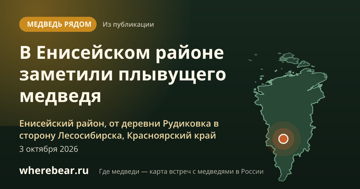 Место на карте: Енисейский район, от деревни Рудиковка в сторону Лесосибирска, Красноярский край