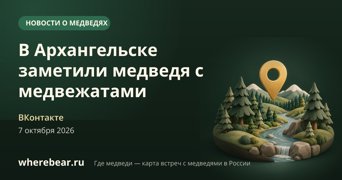 Место на карте: черте Архангельска, на окраине города, на территории лесозавода № 21, Архангельская область