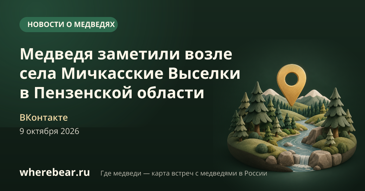 Место на карте: села Мичкасские Выселки, Пензенская область