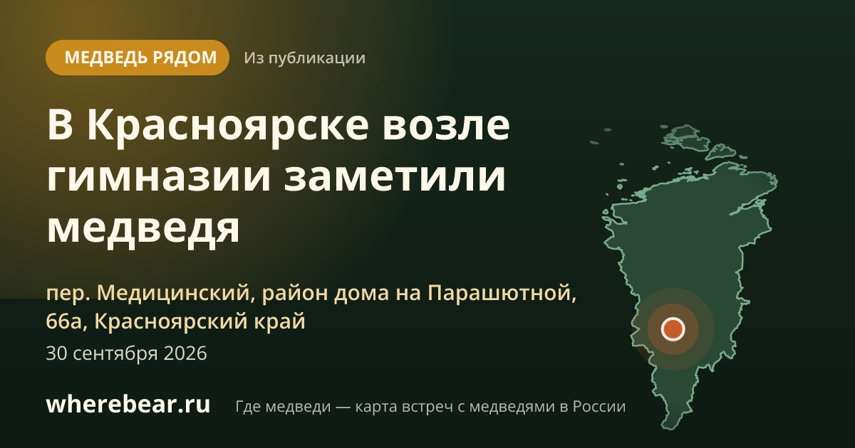 Место на карте: пер. Медицинский, район дома на Парашютной, 66а, Красноярский край