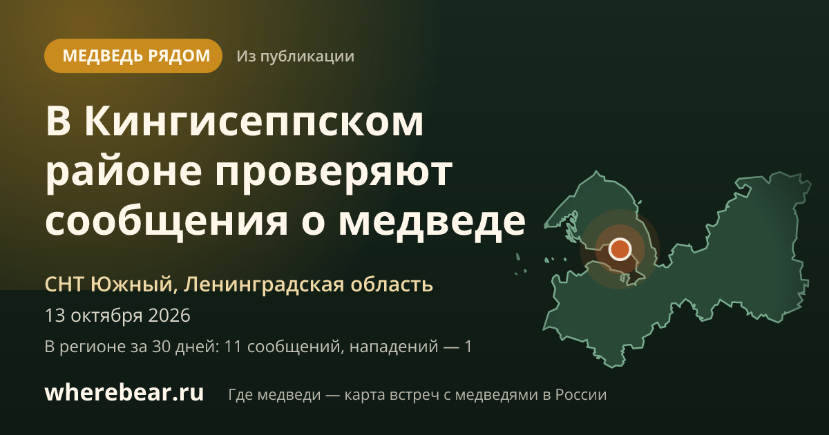 Место на карте: СНТ Южный, Ленинградская область