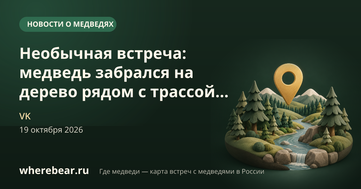 Место на карте: трасса Чусовой — Пермь, Пермский край
